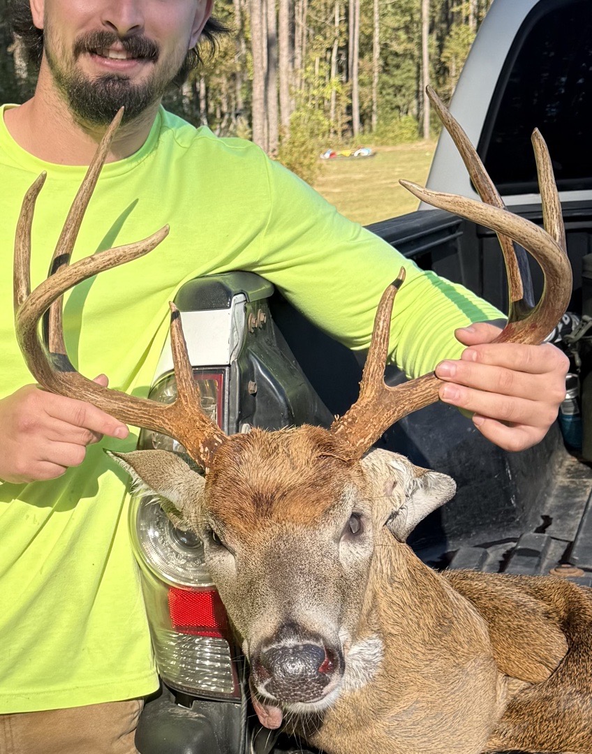rackline.ai | Whitetail Scoring App - AI Buck Scoring & Age Estimates