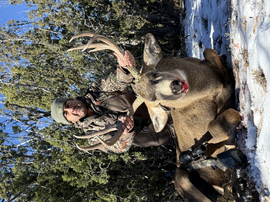 rackline.ai | Whitetail Scoring App - AI Buck Scoring & Age Estimates